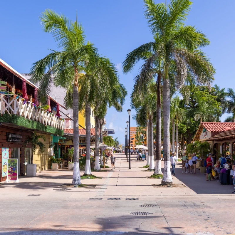 the magical town of cozumel with palm trees