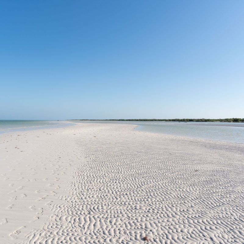 a white sand beach with shallow water on holbox