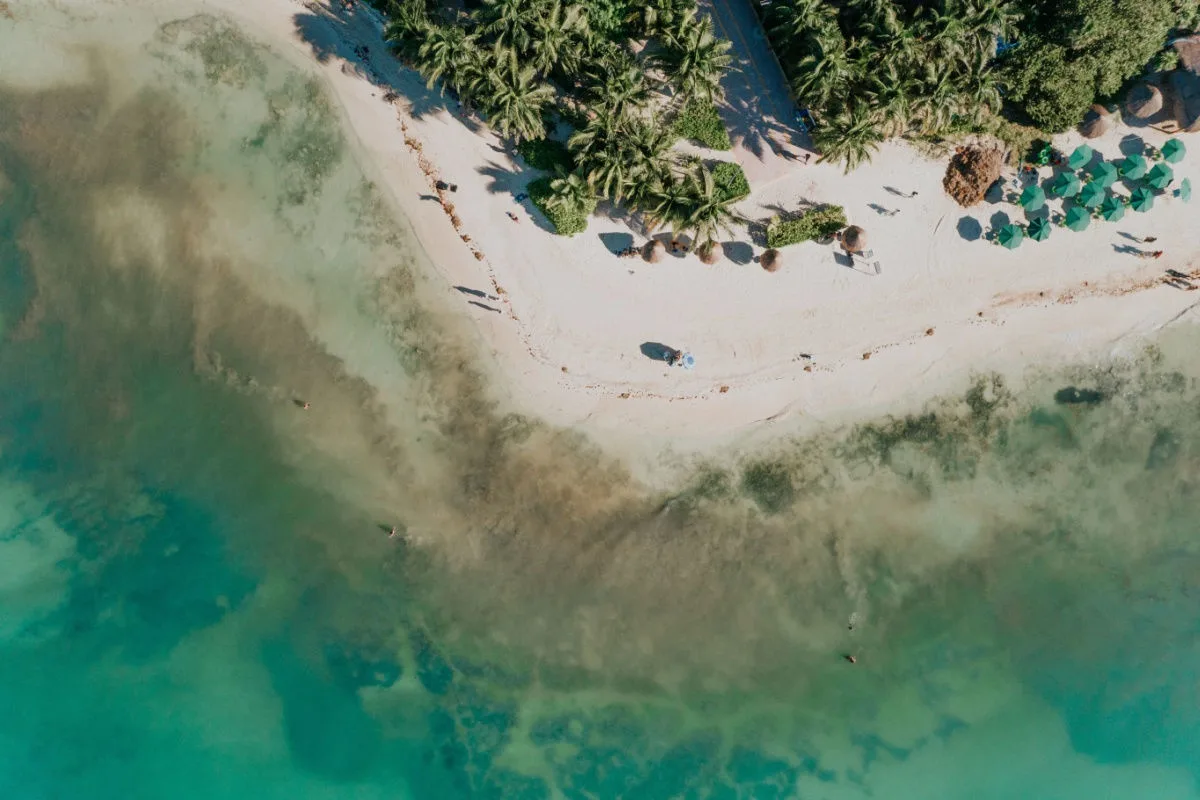 aerial view of a white sand beach in playa del carmen