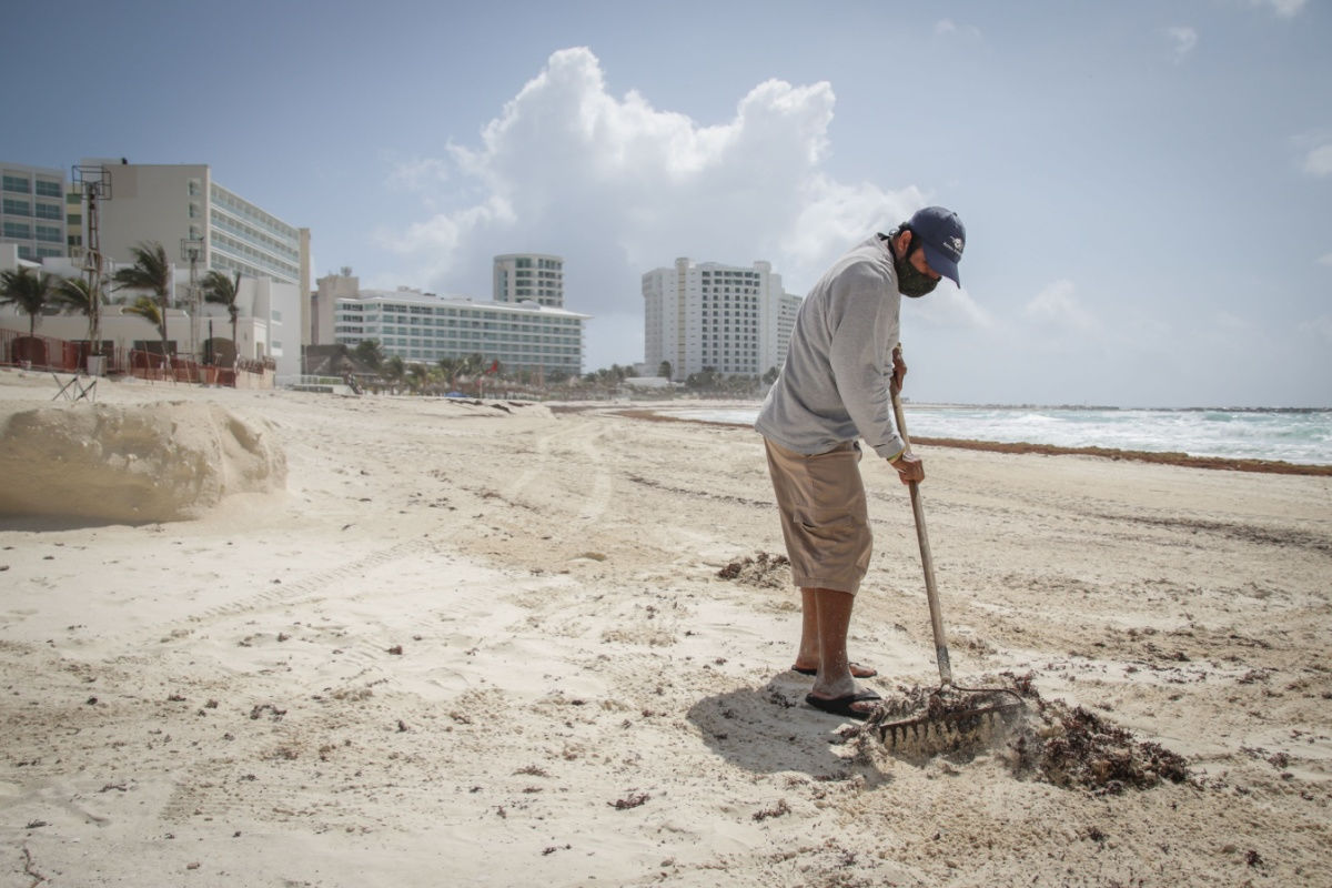 a cleaner removing sargassum seaweed from a cancun beach 