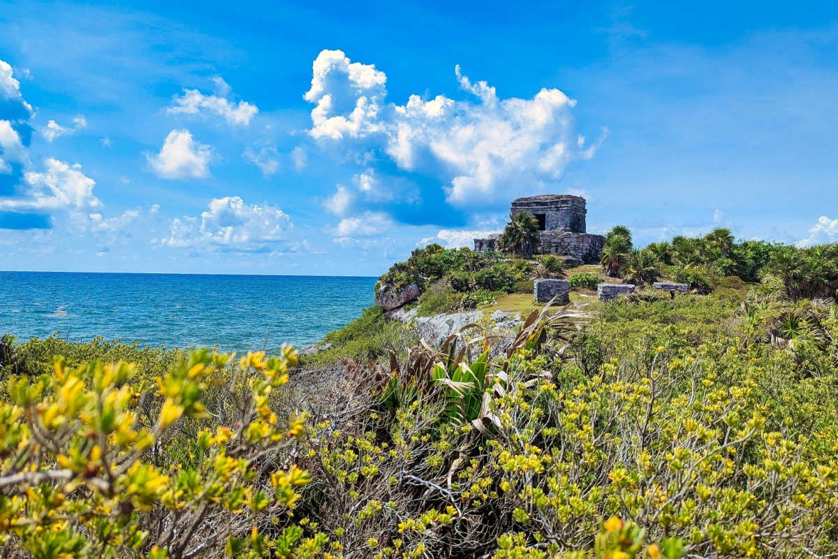 colorful tropical scene in tulum 