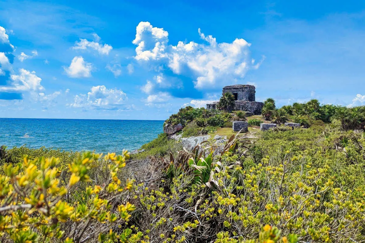 colorful tropical scene in tulum
