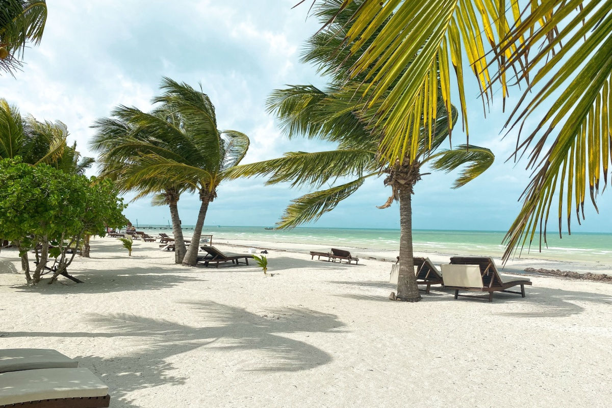 a white sand beach in holbox with palm trees