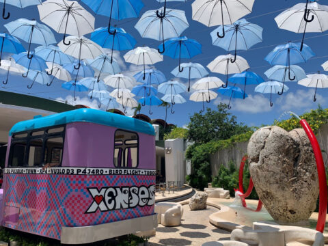 Xenses Park Dining Area in Playa del Carmen, Mexico