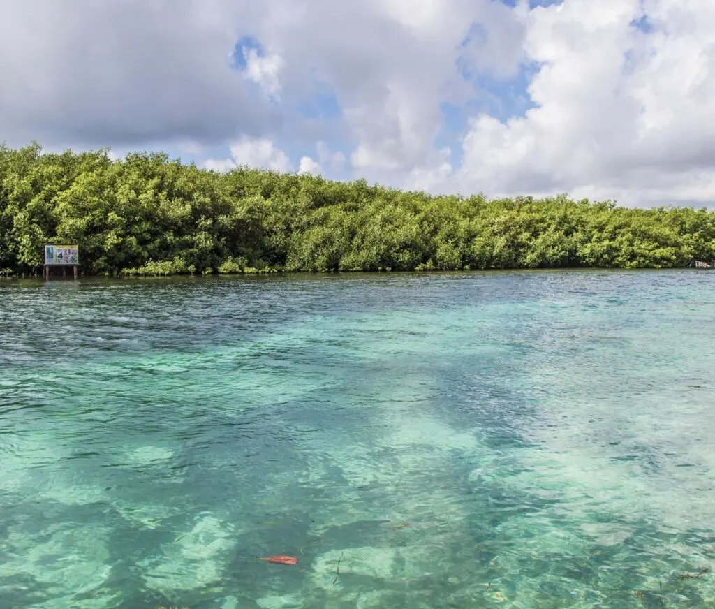 Cancun Lagoon