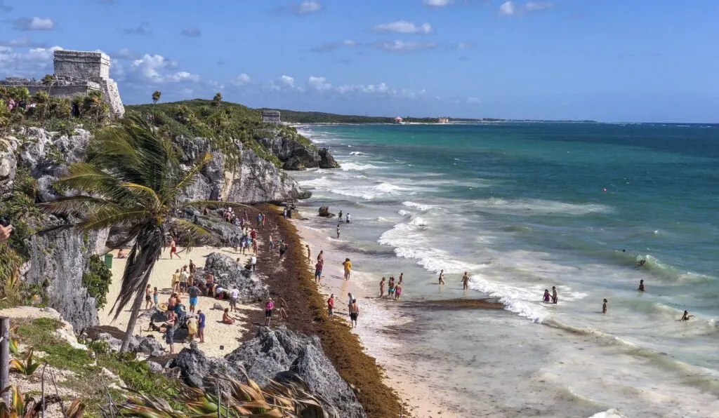 Mexican Caribbean Sargassum Season Alert Most & Least Affected Destinations