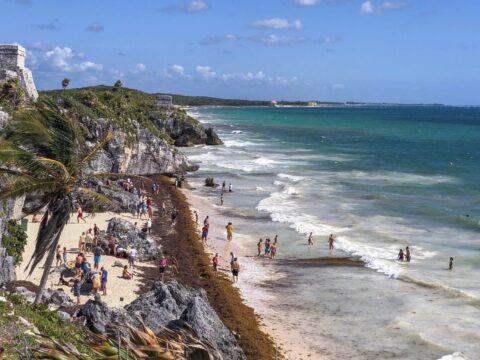 Mexican Caribbean Sargassum Season Alert Most & Least Affected Destinations