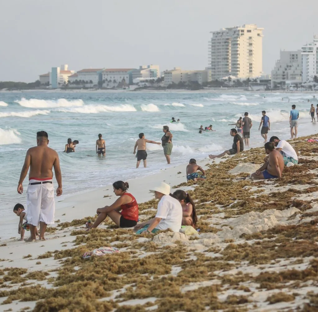 Tourists sit in Sargassum on cancun beach