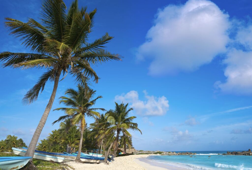 Beyond the Cruise Crowds: Cozumel's Incredible Beaches, Ancient Mayan Secrets & World-Class Diving