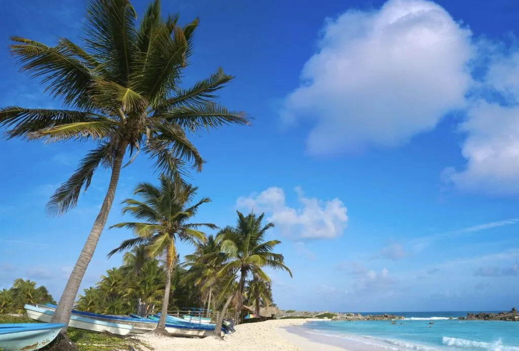 Beyond the Cruise Crowds: Cozumel's Incredible Beaches, Ancient Mayan Secrets & World-Class Diving