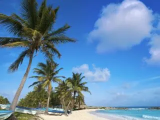 Beyond the Cruise Crowds: Cozumel's Incredible Beaches, Ancient Mayan Secrets & World-Class Diving