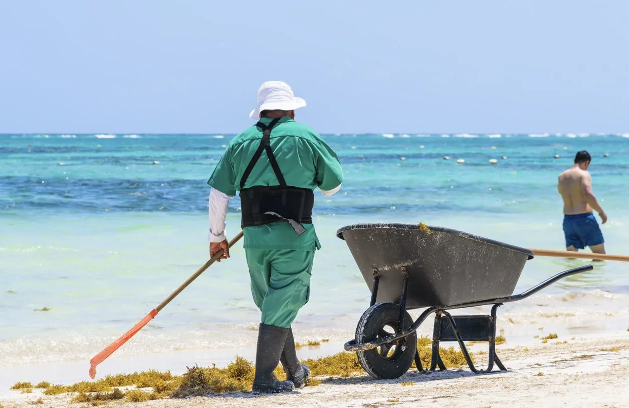 Cancun Mobilizes Massive Cleanup Effort as Sargassum Arrives on Famed Blue Flag Beaches