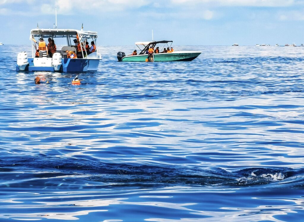 Boats on water for whale shark tour