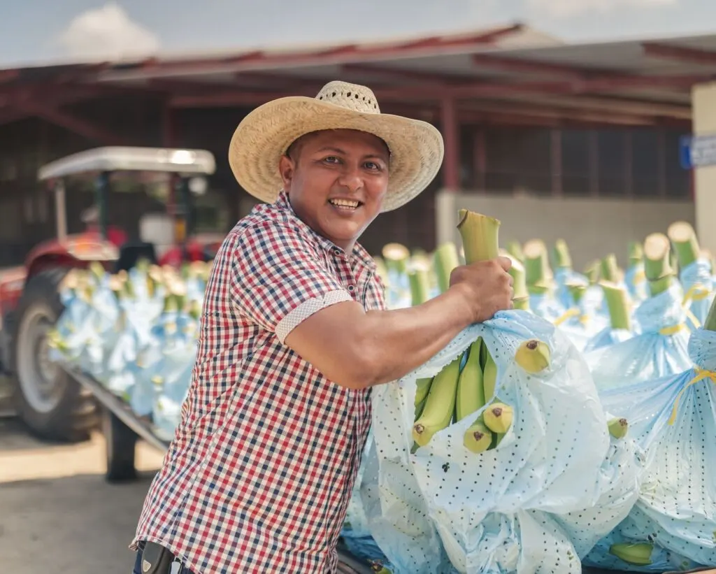 Farmer moves bananas in Cancun