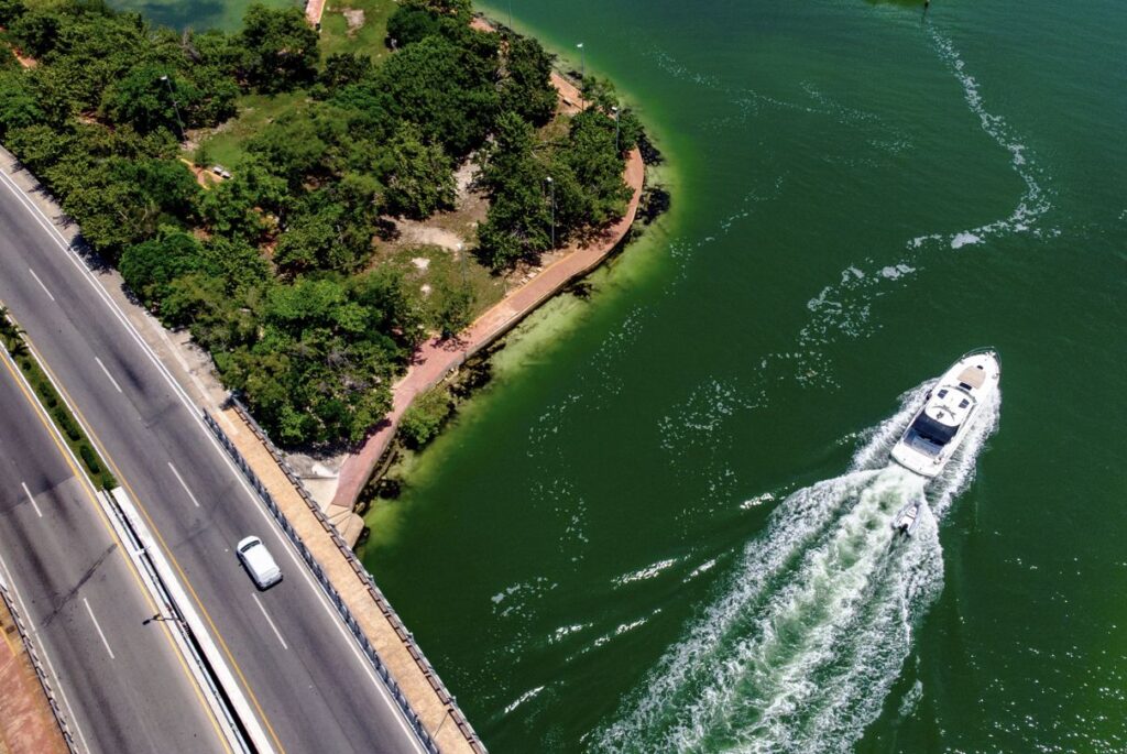 Nichupté Vehicular Bridge 1