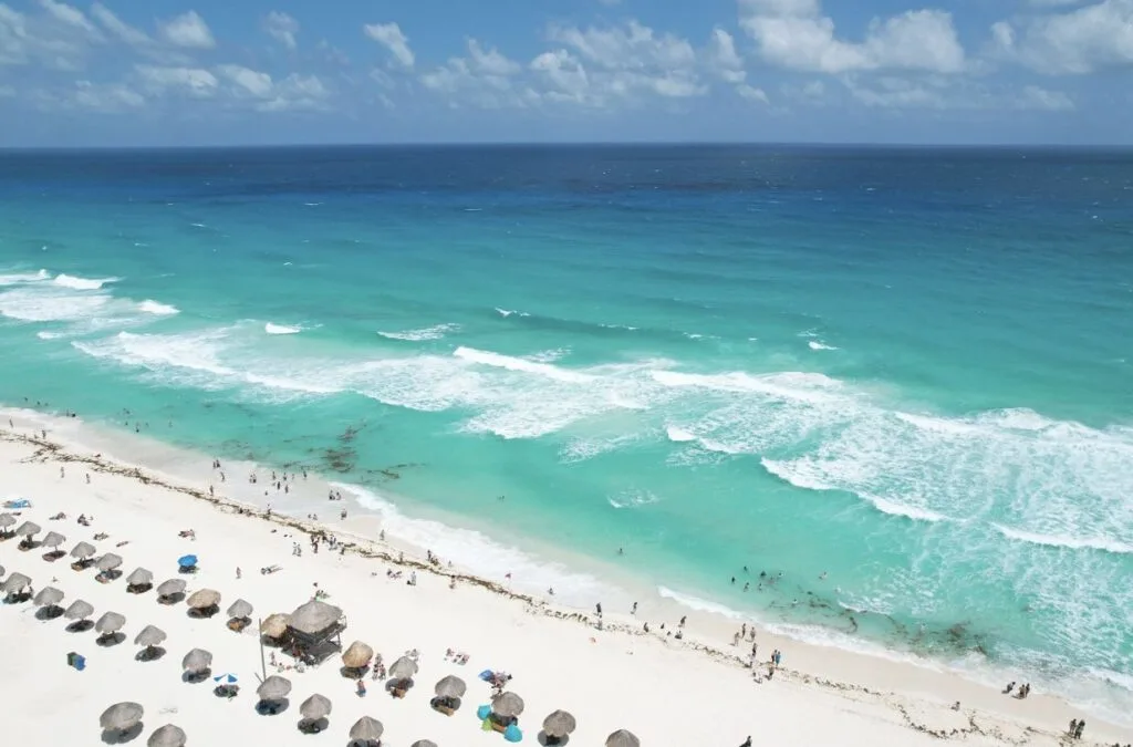 Sargassum Free Beaches For Now But A Massive Influx Is Coming