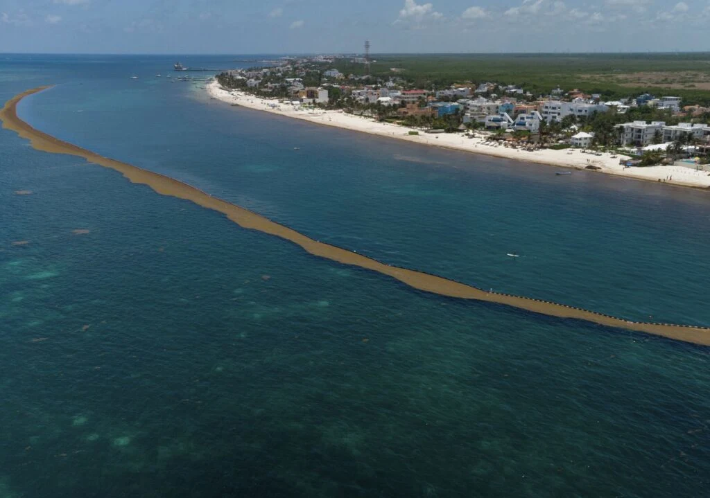 Sargassum barrier cancun