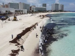 Cancun Record-Breaking Sargassum Surge Expected