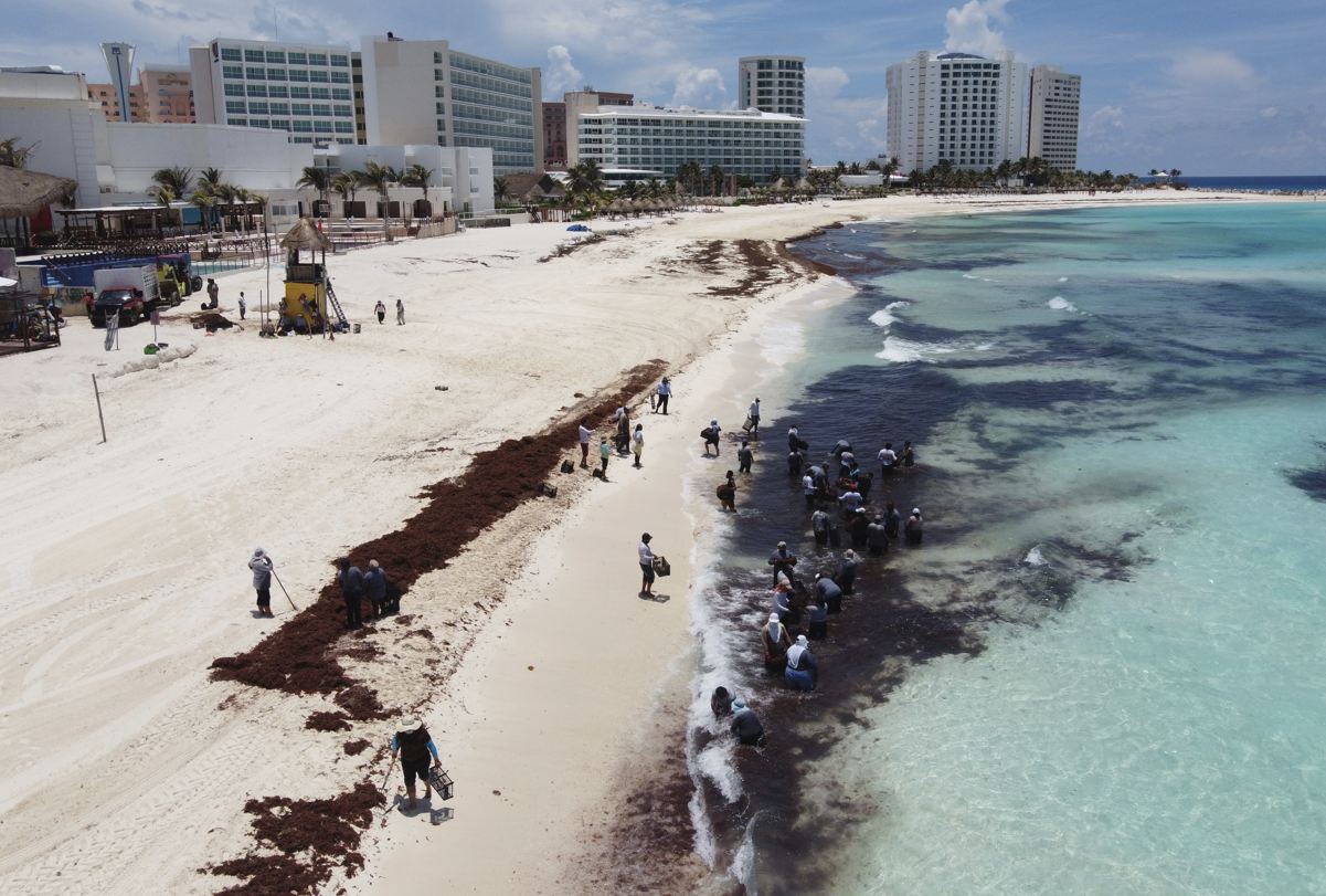 Se esperaba una oleada de Sargassum récord de Cancún
