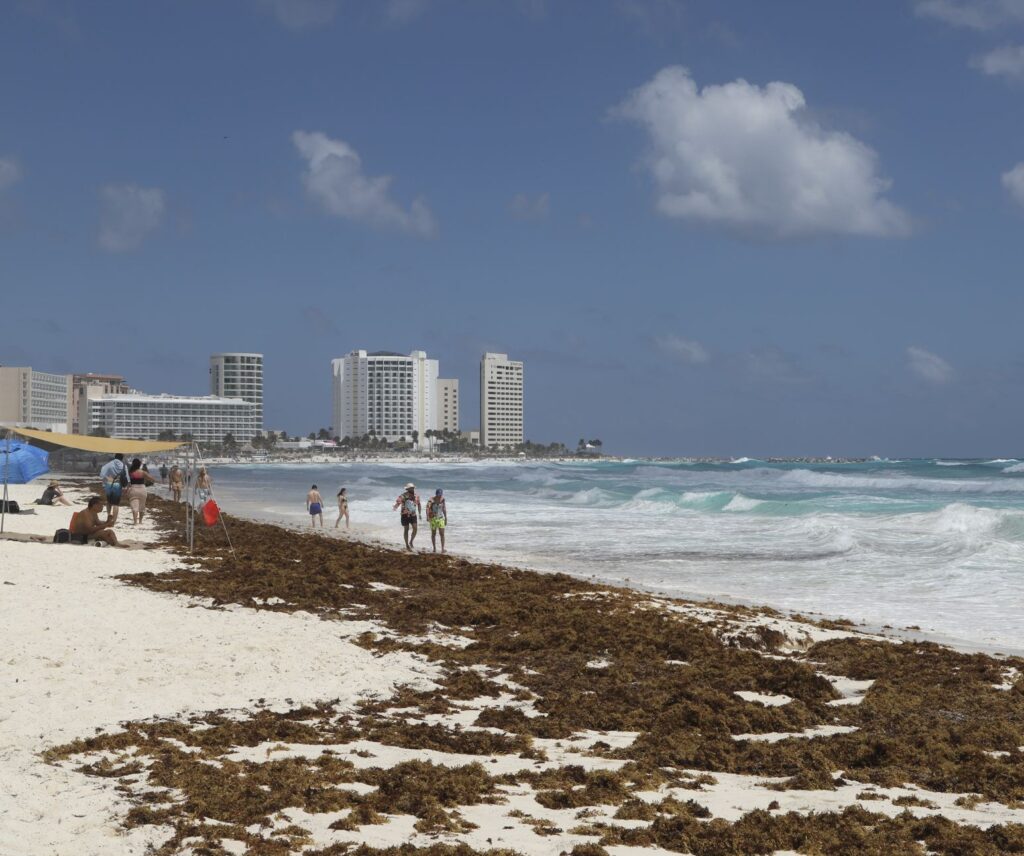 Cancun Sargassum on hotel zone beach