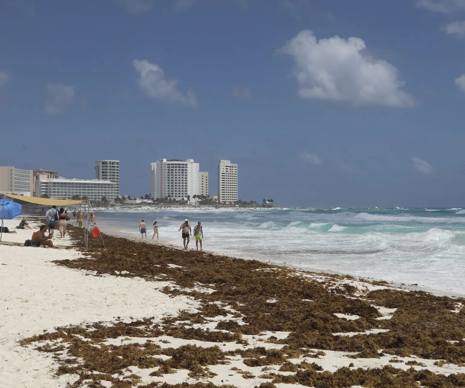 Cancun Sargassum on hotel zone beach