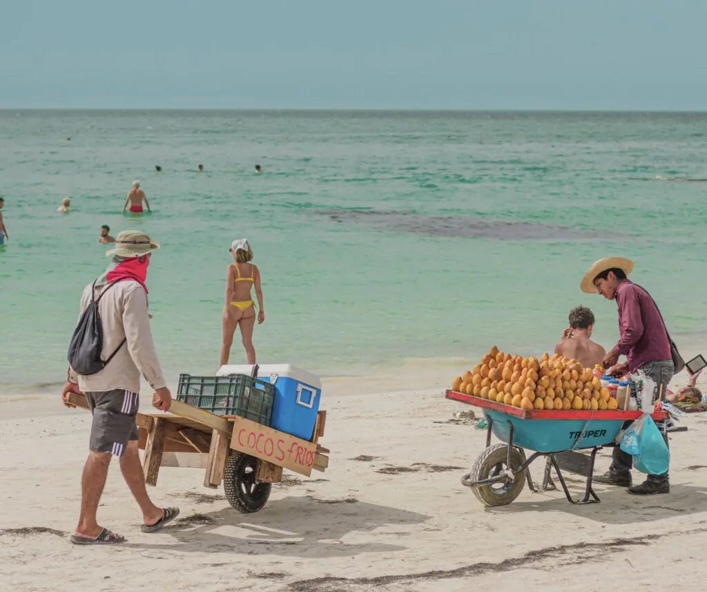 Food a drink vendors beach