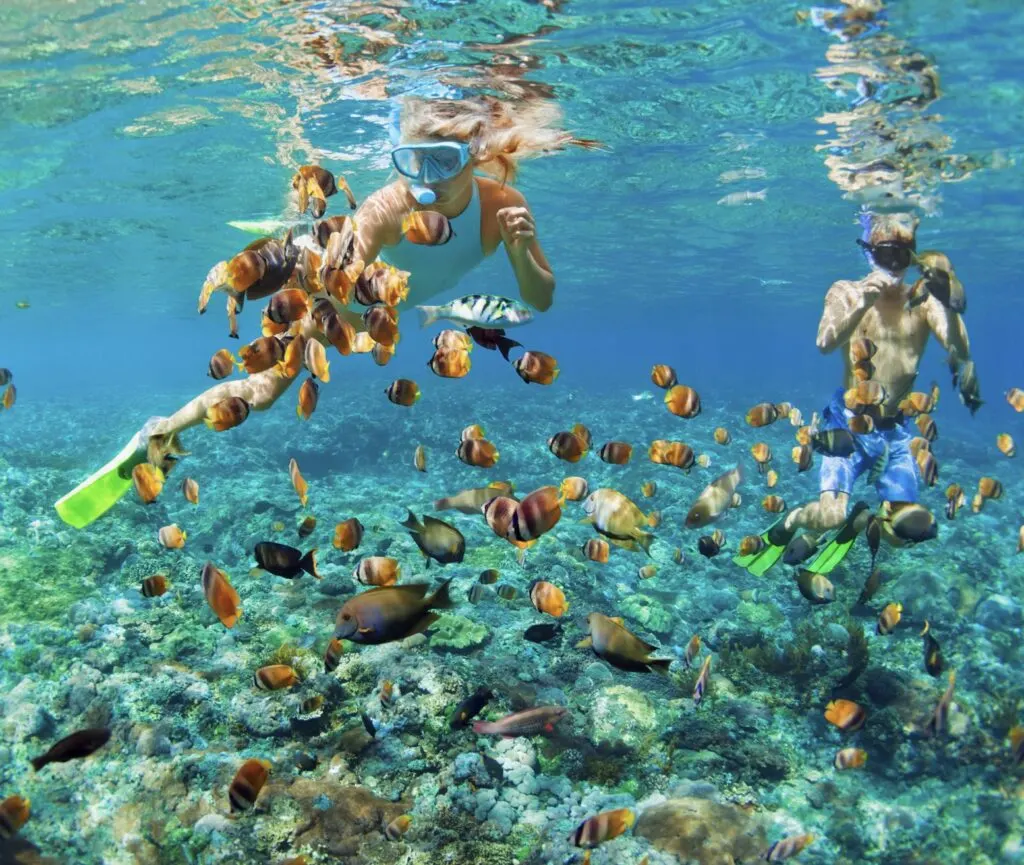 Snorkeling