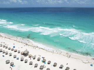 Sargassum on cancun beach