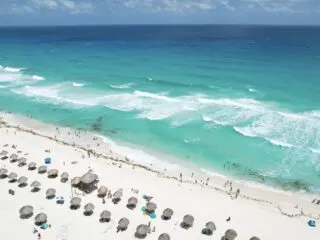 Sargassum on cancun beach
