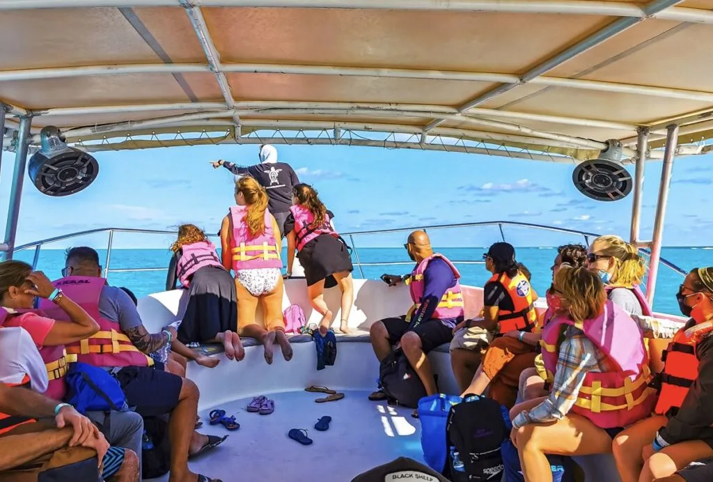 Tour Pier Collapses In Cancun Sending Tourists Into The Water
