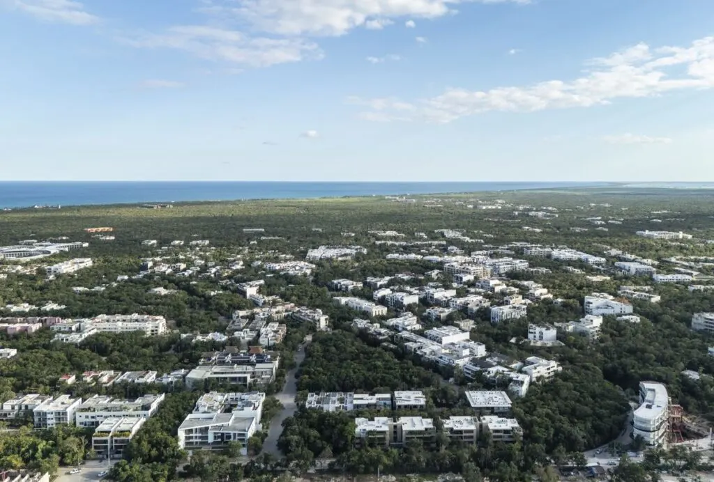 Tulum Real Estate Boom Hits Brakes Oversupply Leads to Price Wars, Plummeting Rents