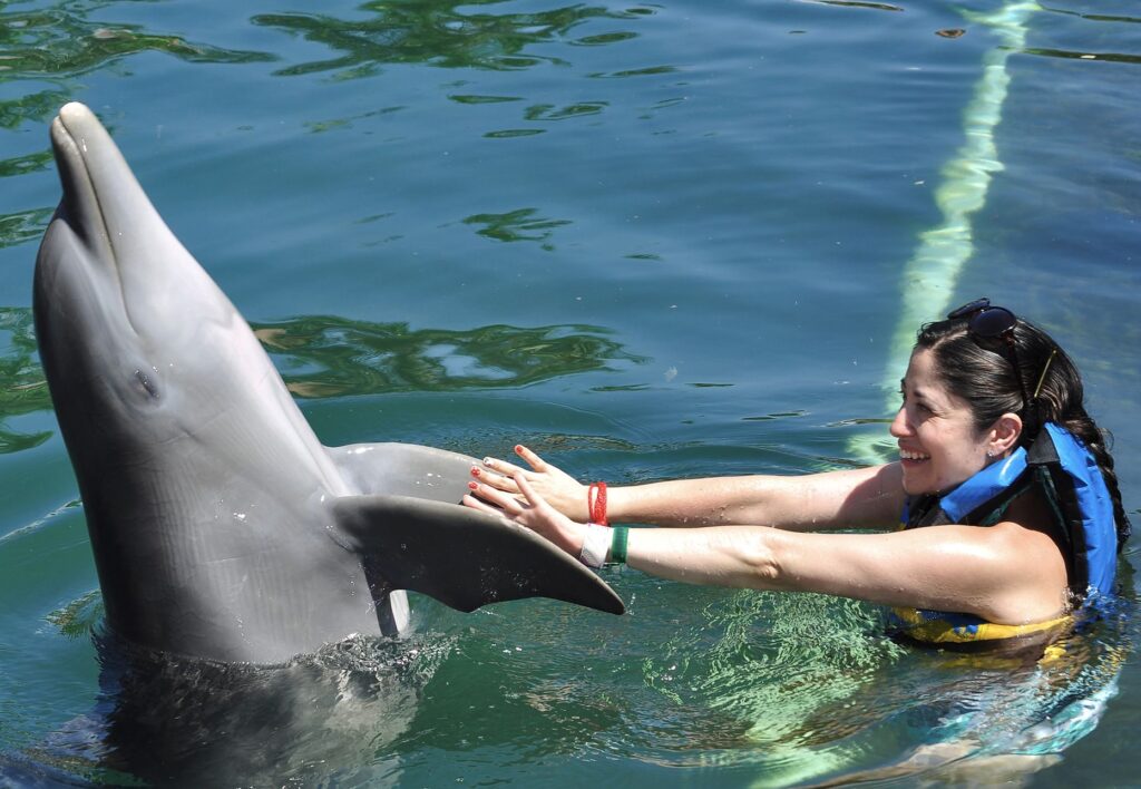 Woman swimming with Dolphins