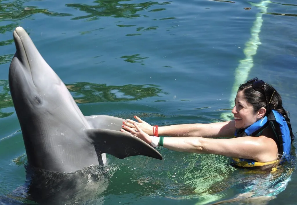 Woman swimming with Dolphins
