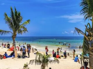 Cancun Authorities Issue Dengue Fever Alerts Following Heavy Rains