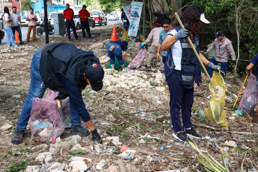 Cenote Clean Up cancun