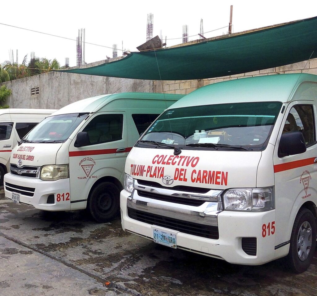 Colectivo busses