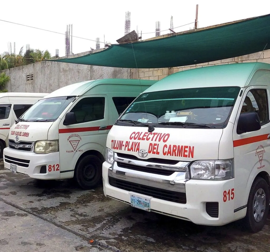 Colectivo busses