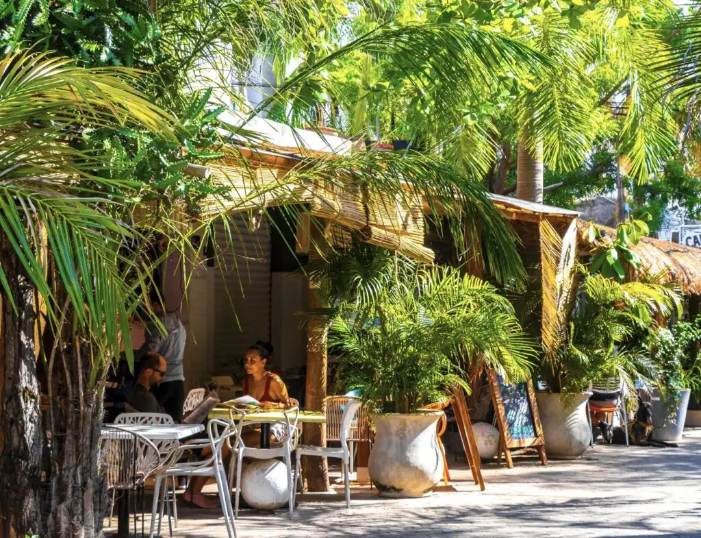 Digital Nomad Cafe Plaa del carmen