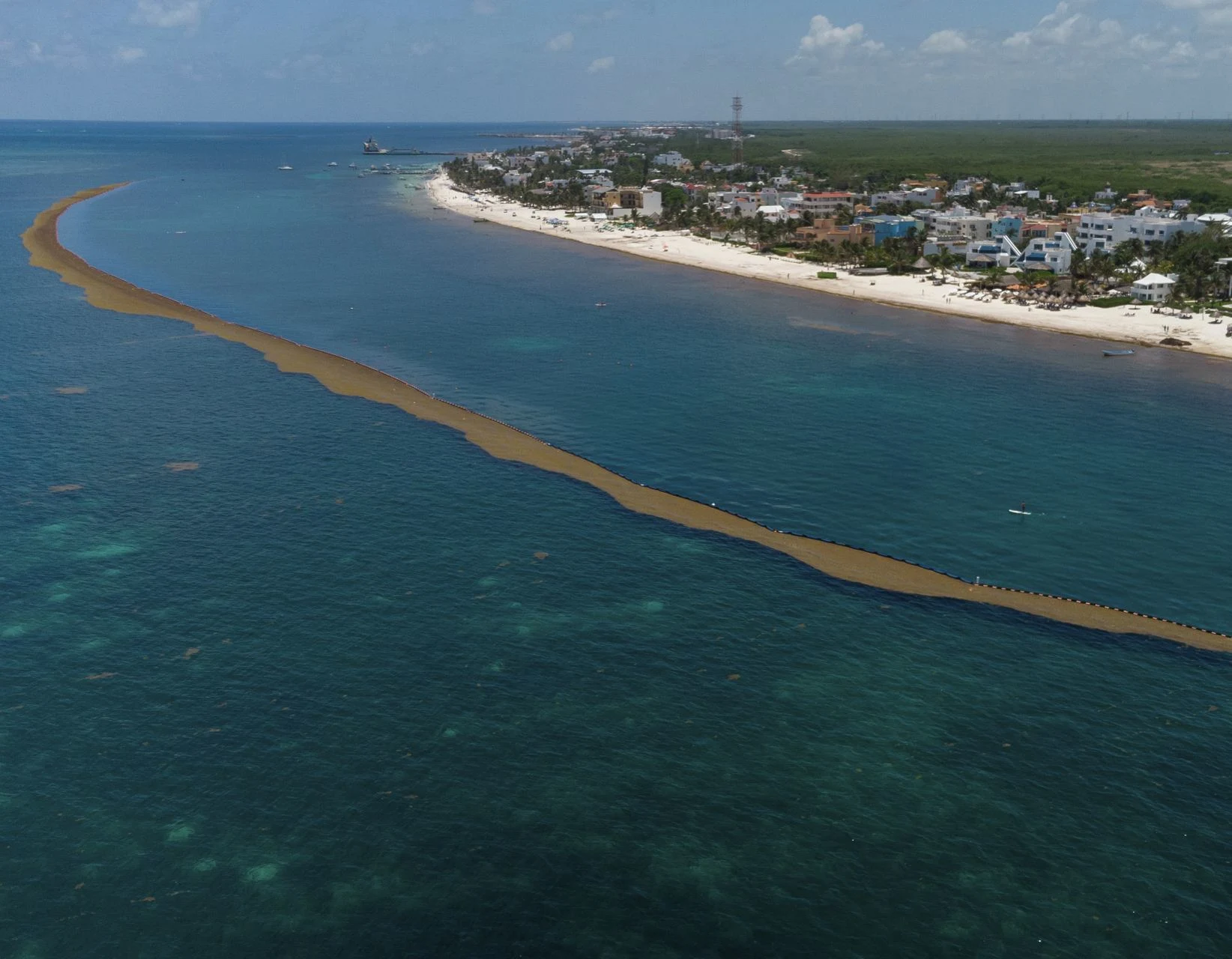 Sargassum Barrier