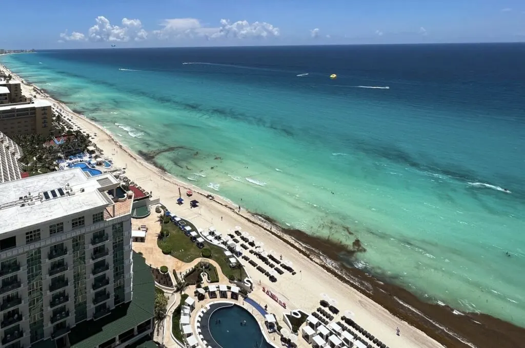Sargassum Season 7 Alternative Things To Do In Cancun For 2025