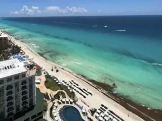 Sargassum Season 7 Alternative Things To Do In Cancun For 2025