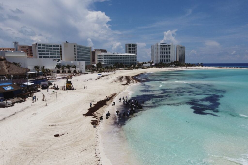 Should I Cancel My Trip To Cancun The Sargassum Debate Boils Over On Social Media