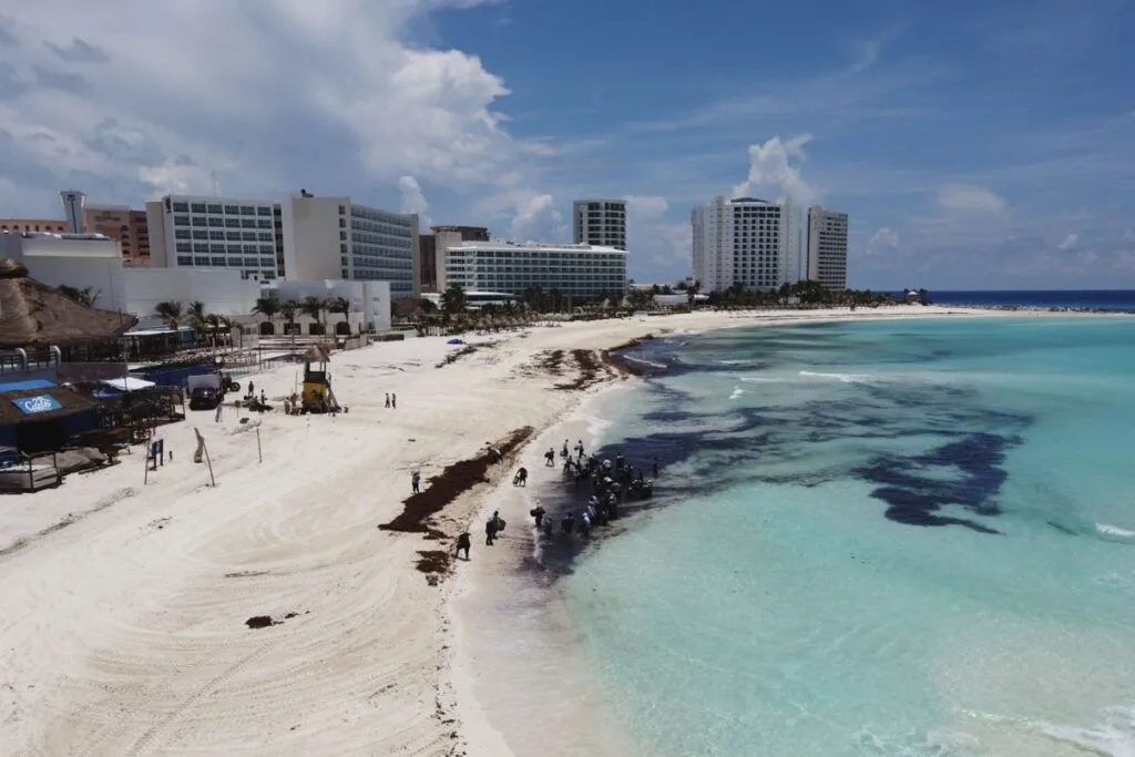 Should I Cancel My Trip To Cancun The Sargassum Debate Boils Over On Social Media