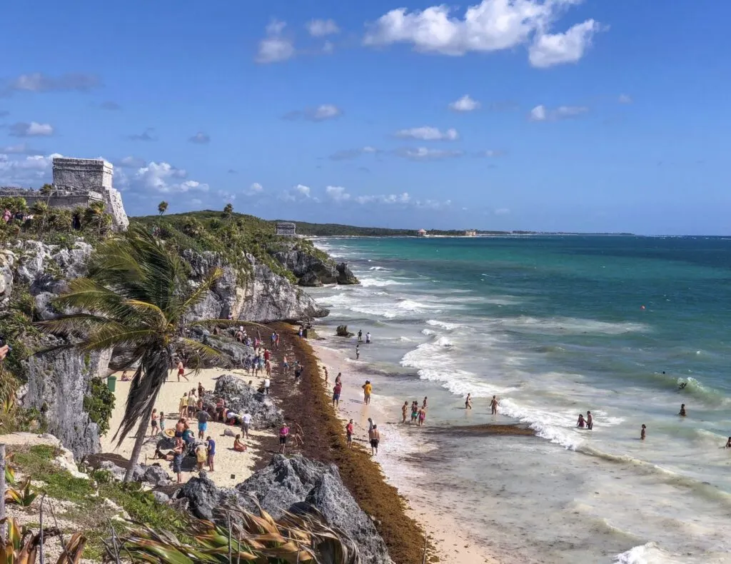 Tulum Sargassum