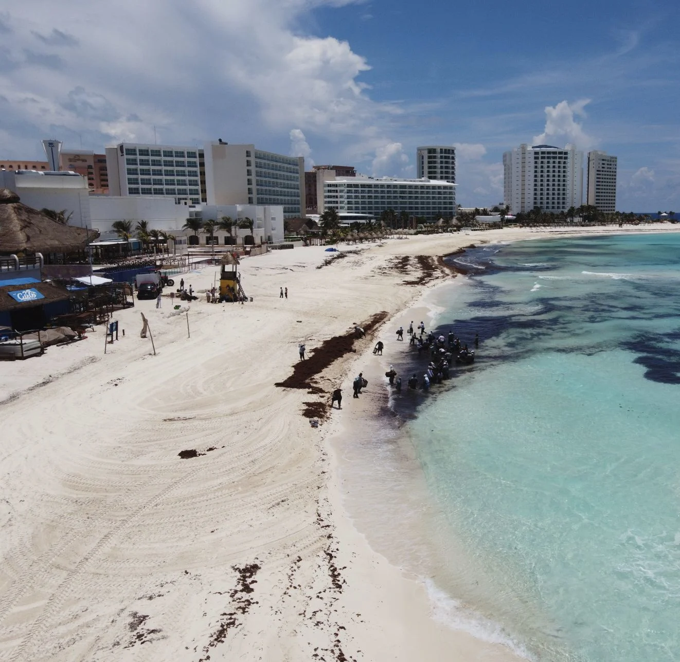 Workers Actively Cleaning Sargassum