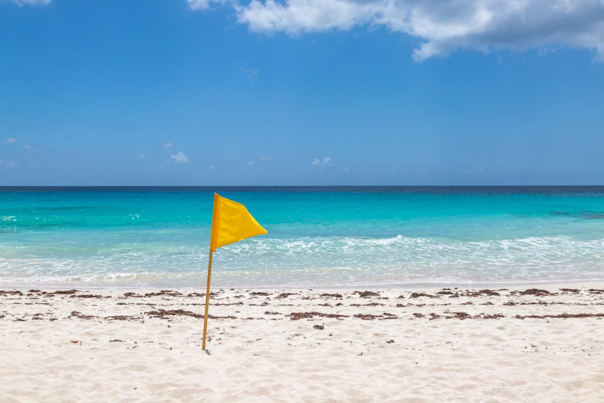 Yellow flag on a beach