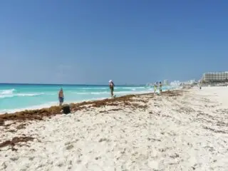 cancun Hotel zone with light sargassum