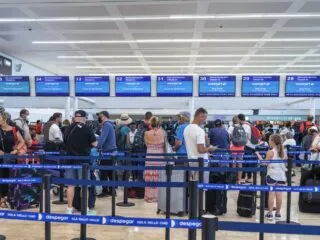 passengers wait to check in