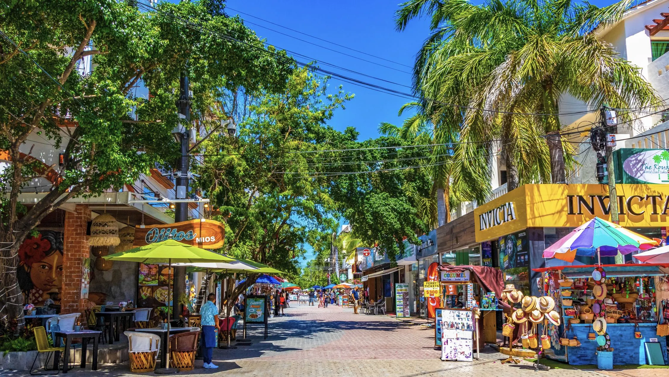 C:\Users\Home\Desktop\2025-07-10 06_02_58-Shell Handwriting Canvas.jpg