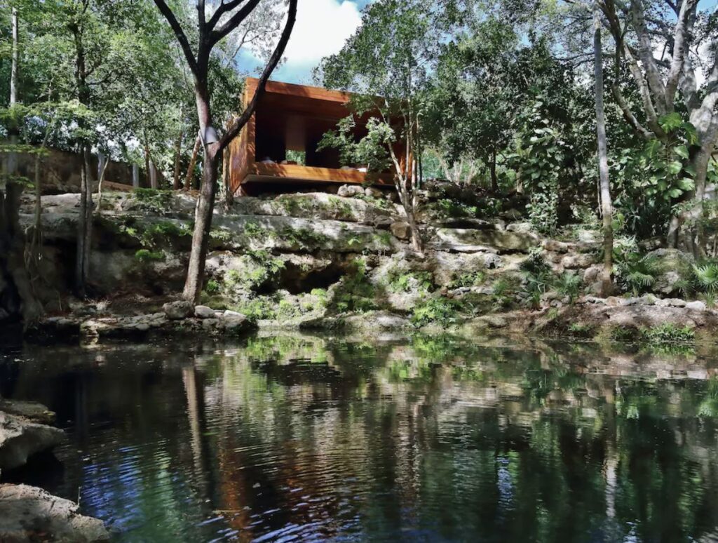 Jungle treatment room